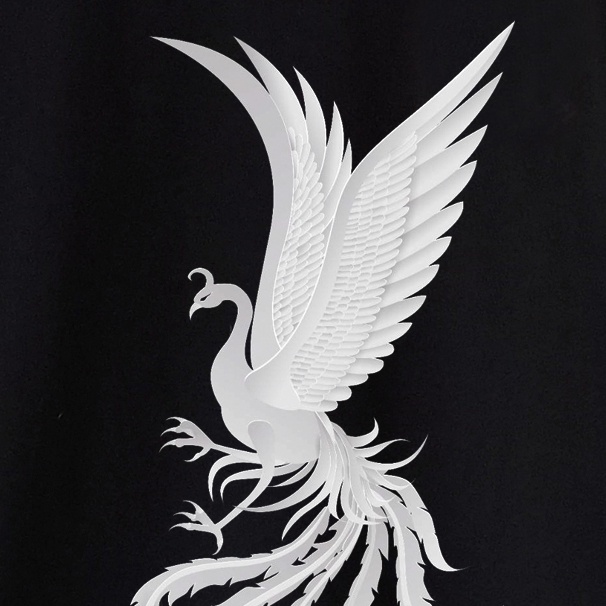 Áo Phông Đẹp MYO Vải Cotton In Hình PHOENIX Đen