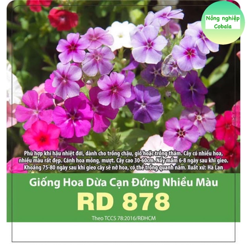 Hạt Giống Hoa Dừa Cạn Đứng Nhiều Màu 0.03gr