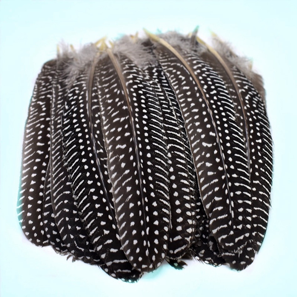 Bộ 10 Lông Vũ Tự Nhiên 15-20cm Dùng Làm Đồ Trang Sức