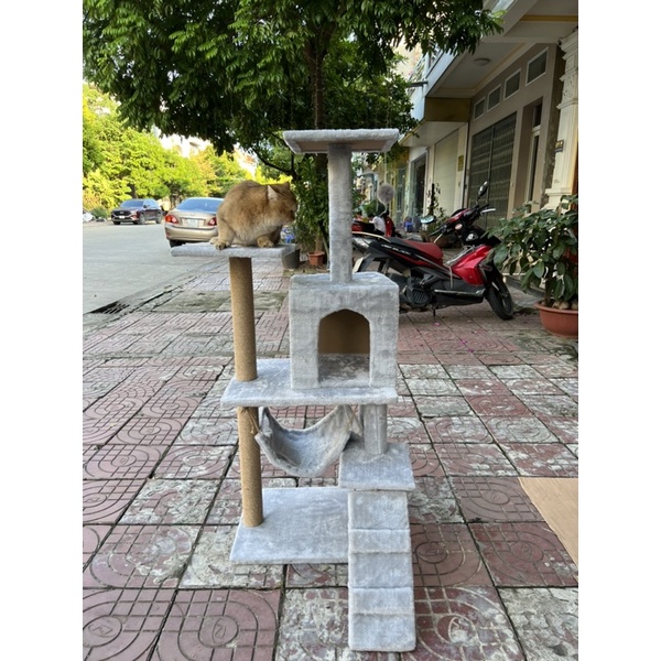 Nhà Cây Cattree cho mèo size bự cao 1m35