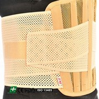 ĐAI LƯNG 6 NẸP EB-510