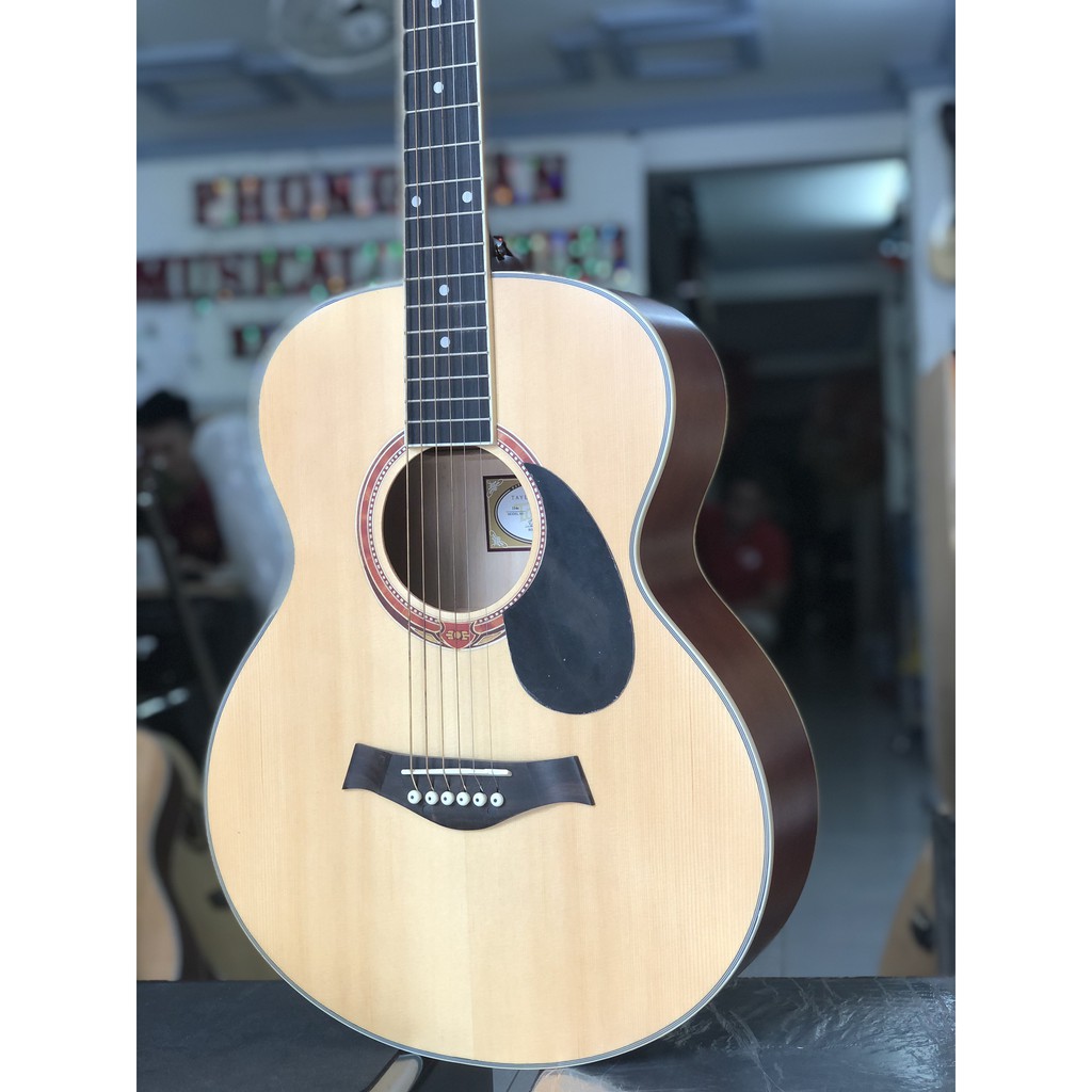 Đàn guitar Taylor giá rẻ