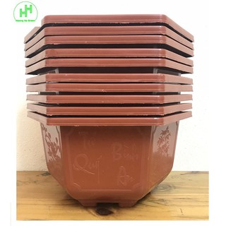 10 Châu Nhựa Bonsai Lục Giác Bình Thuận 250x150 Trồng Hoa, Cây Cảnh,