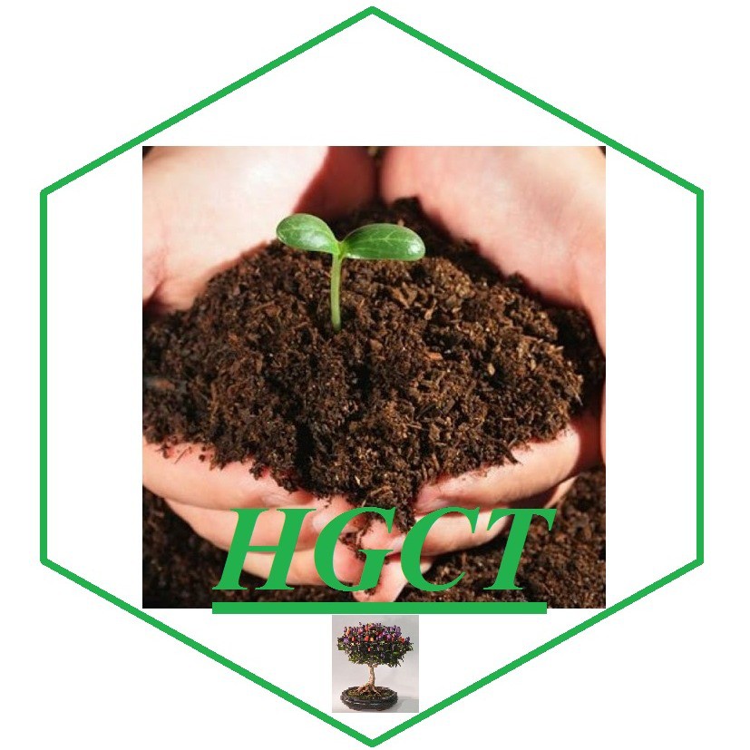 Hạt giống cây trồng 10