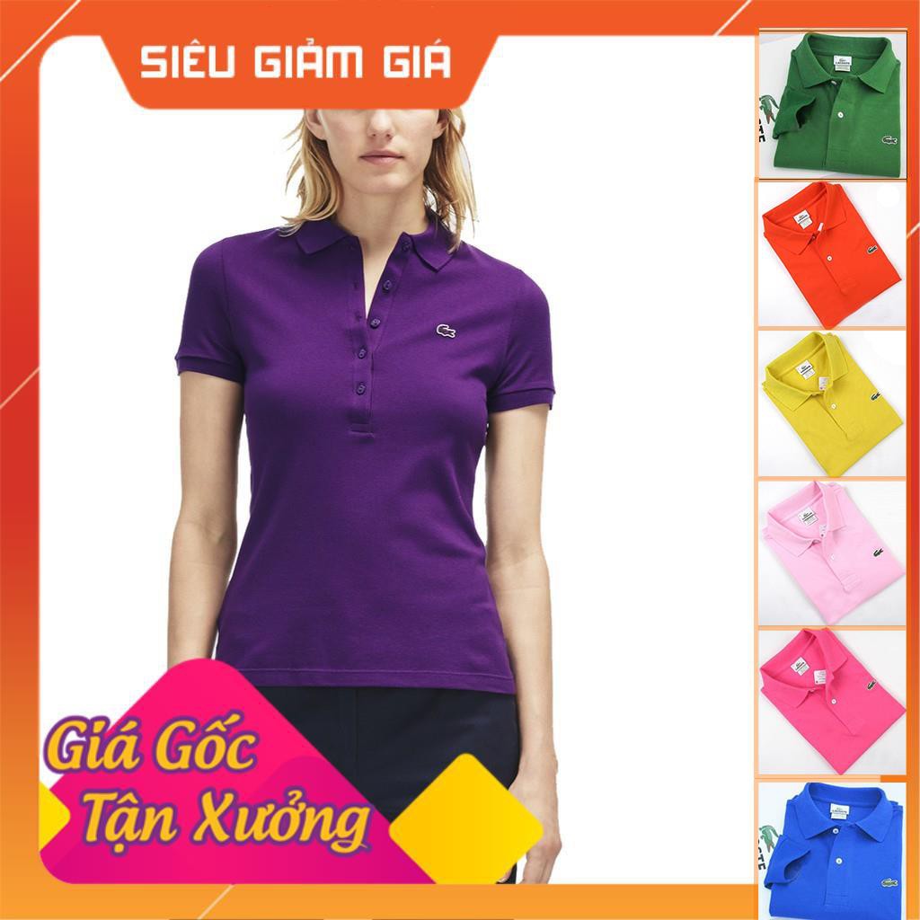 Áo Thun Nữ Trơn Polo Phông Tay Ngắn Cổ Bẻ Cotton Thêu Chữ và logo