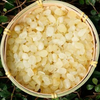 Bồ mễ ( Tuyết liên tử ) 100g. Date luôn mới