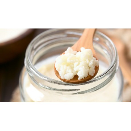 Nấm sữa lên men Kefir Milk Nấm làm sữa chua Kefir Milk thực phẩm organic Kefir Milk | BigBuy360 - bigbuy360.vn