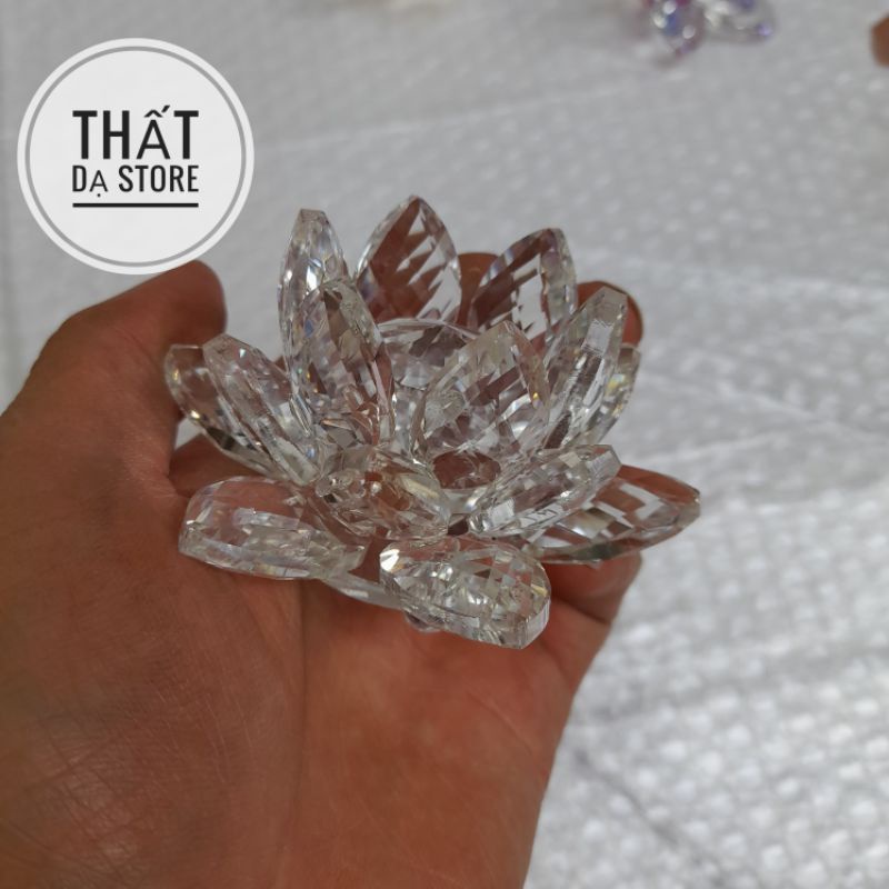 Mô hình Đấu Kỹ Phật Nộ Hỏa Liên Dị Hỏa Đấu Phá Thương Khung 8cm.