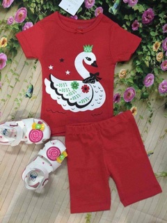 Combo bé gái zara kids