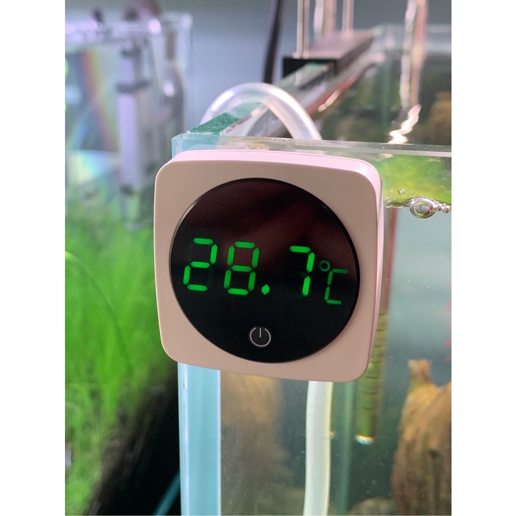 Nhiệt Kế Điện Tử Nepall