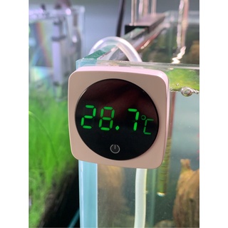 Nhiệt Kế Điện Tử Nepall