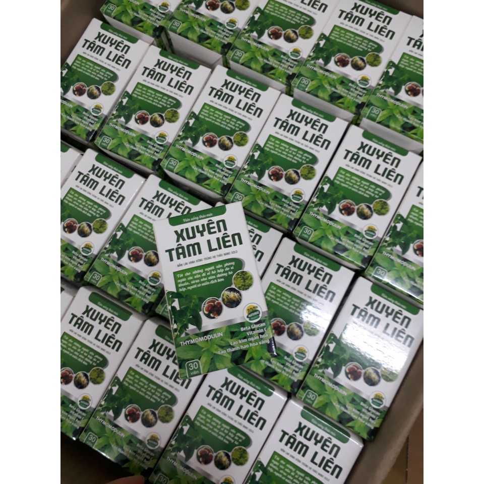 Viên uống thảo mộc Xuyên Tâm Liên hỗ trợ phòng ngừa các vấn đề về hô hấp do vi khuẩn virus gây ra
