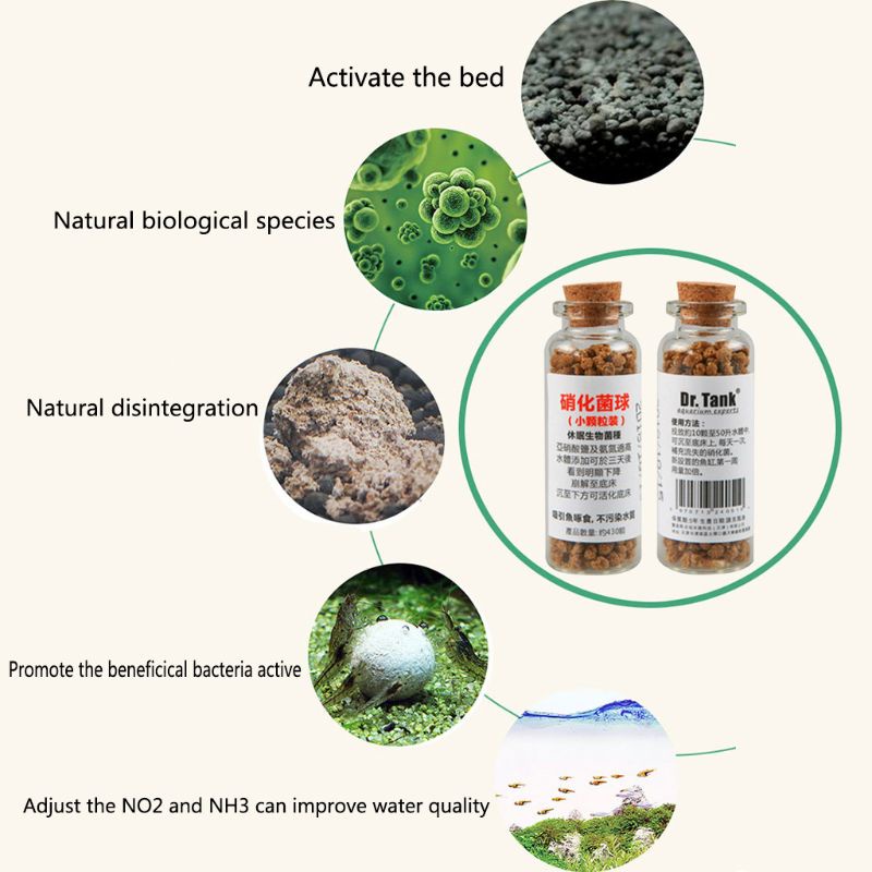 Bóng Vi Khuẩn Cho Bể Cá