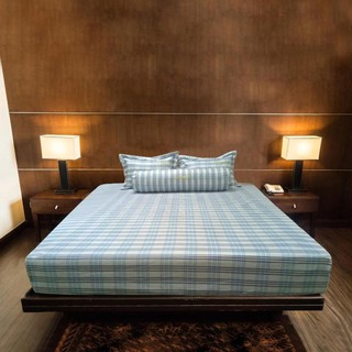Bộ ga chun Dreamland Cotton XK