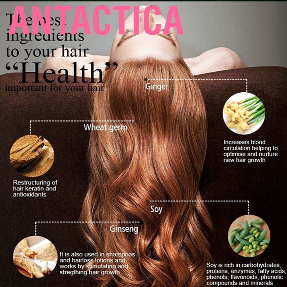 Antactica Ginger Shampoo  Conditioner Improve Nourishing Hair Care Growth Prevent Loss for Dandruff Itchy Flaky or Dry Scalp
