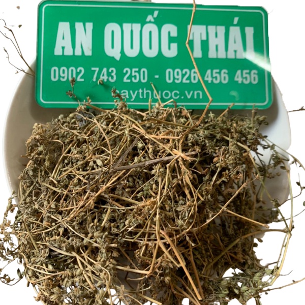 Rau Đắng Đất 1KG Khô  Hỗ Trợ Người Tiểu Đường, Cây Rau Đắng Đất Giải Độc Gan, Giúp Thông Tiểu