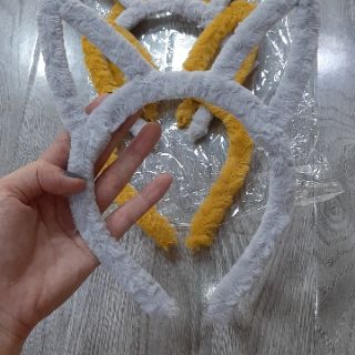BĂNG ĐÔ TAI THỎ