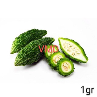 Hạt giống Khổ Qua Rừng