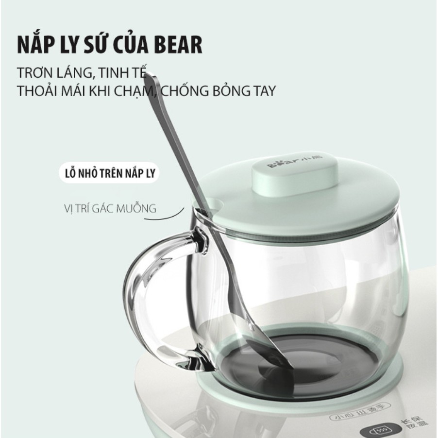 Ấm Đun Dưỡng Sinh Giữ Nhiệt Bear - Home and Garden