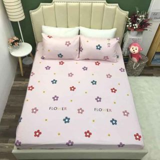 Bộ ga gối cotton