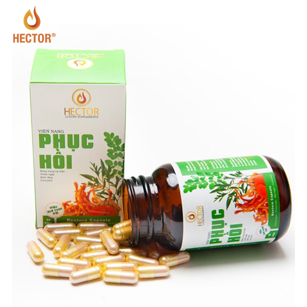 Viên nang phục hồi và tăng cường sức đề kháng Hector