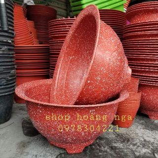 Sét 5 chậu trồng cây t48 giả đá đỏ