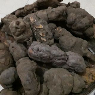 Bột hà thủ ô đỏ (lọ 0,5kg)