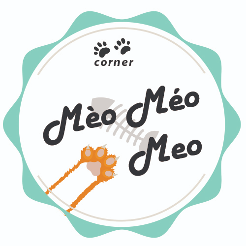 mèo méo meo_corner