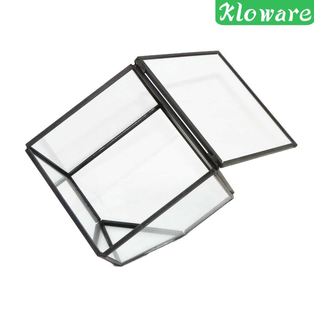 Chậu Trồng Cây Bằng Kính Thiết Kế Hình Học Độc Đáo