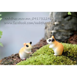 Tiểu cảnh, động vật trang trí tiểu cảnh_ hamster