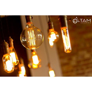[LOẠI 1] Bóng đèn sợi tóc Edison Tròn (G80 - G95)