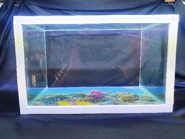 BỂ CÁ 29X18X18CM KÍNH DÀY 5 LY KHÔNG KIỀNG DÁN TRANH SẴN