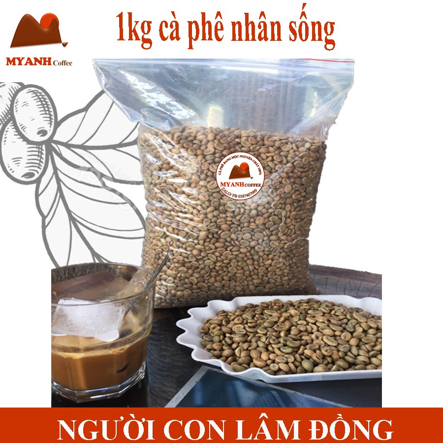 1kg cà phê nhân sống - Robusta - Honey - S16 - Vietnamese coffee beans