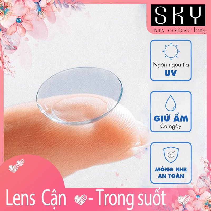 Lens (Kính áp tròng) Hàn DÙNG MỘT NĂM - giãn ít đủ độ, inbox chọn mẫu - Made in Korea (tặng kèm khay đựng)