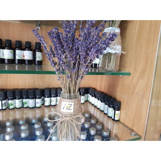 Lọ hoa Lavender nhập khẩu Pháp