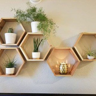 Kệ lục giác/ kệ tổ ong decor