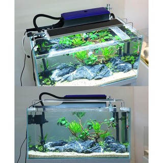 Bể cá 50x30x30
