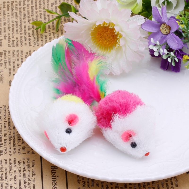 Set 10 chuột đồ chơi có đuôi gắn lông vũ thú vị cho mèo cưng