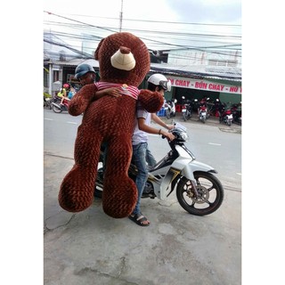 Gấu bông Teddy 1M2