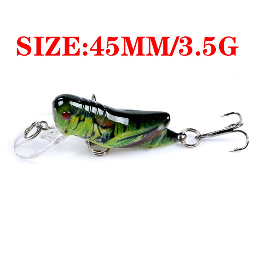 Mồi câu cá giả bằng nhựa cứng phát sáng hình côn trùng chất lượng cao