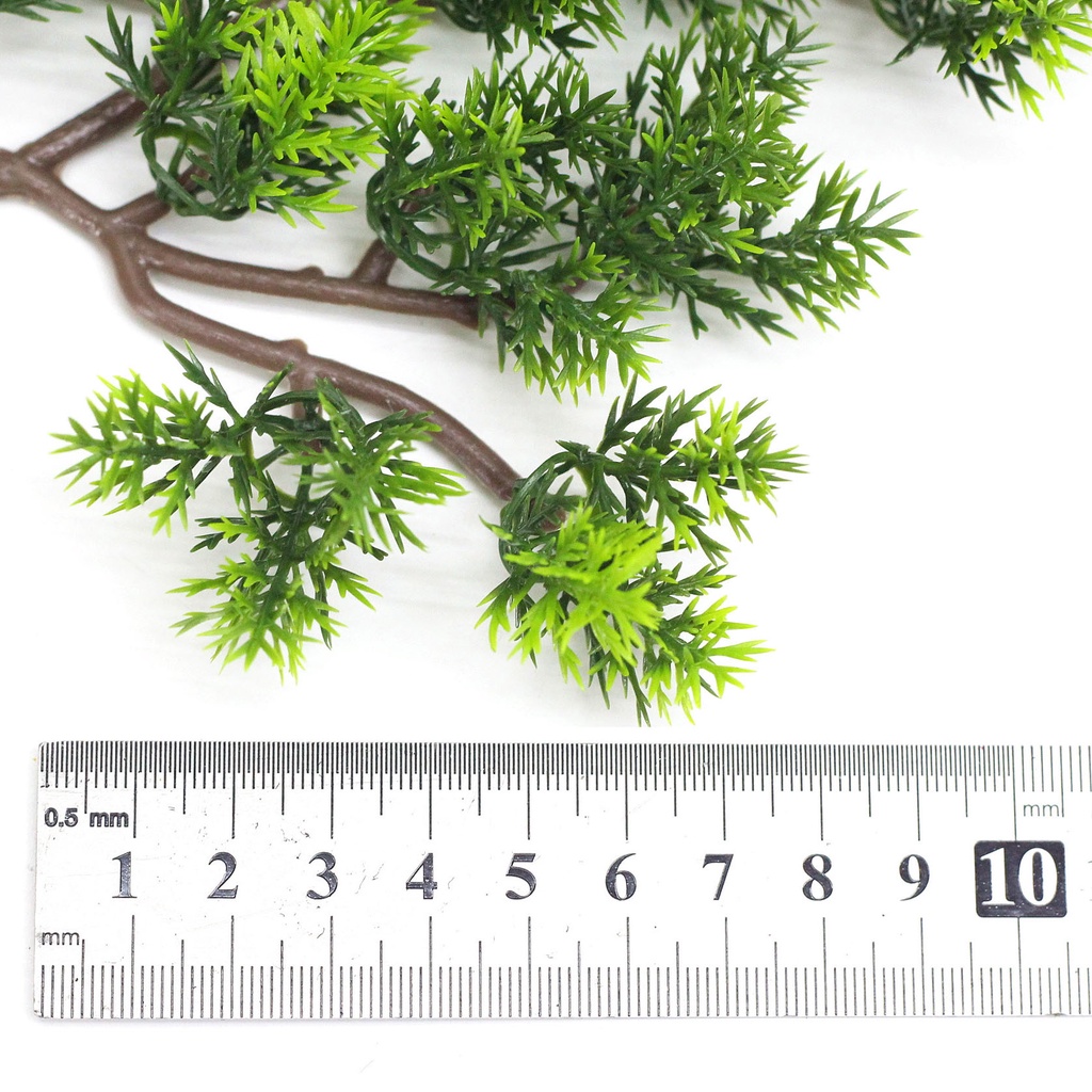 Mô hình lá Tùng bách  - Tráng trí gỗ, lũa bonsai tuyệt đẹp - Hàng chất lượng cao, màu tự nhiên.