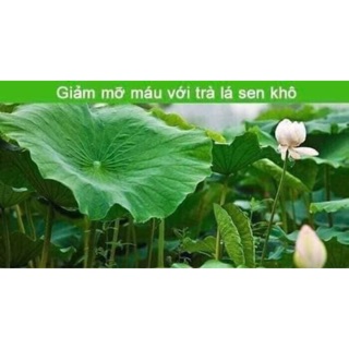 1kg lá sen khô