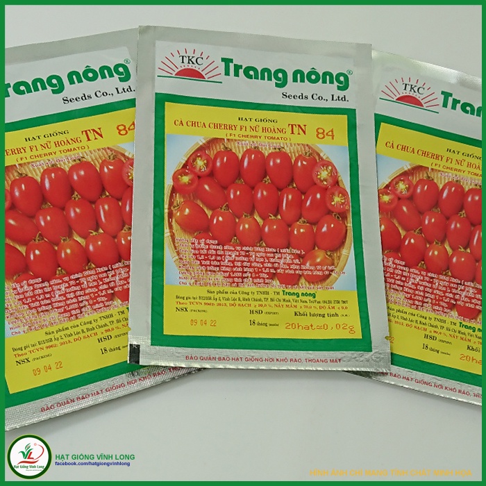 Hạt giống Cà chua Cherry F1 - Nữ Hoàng TN 84 - 20 hạt