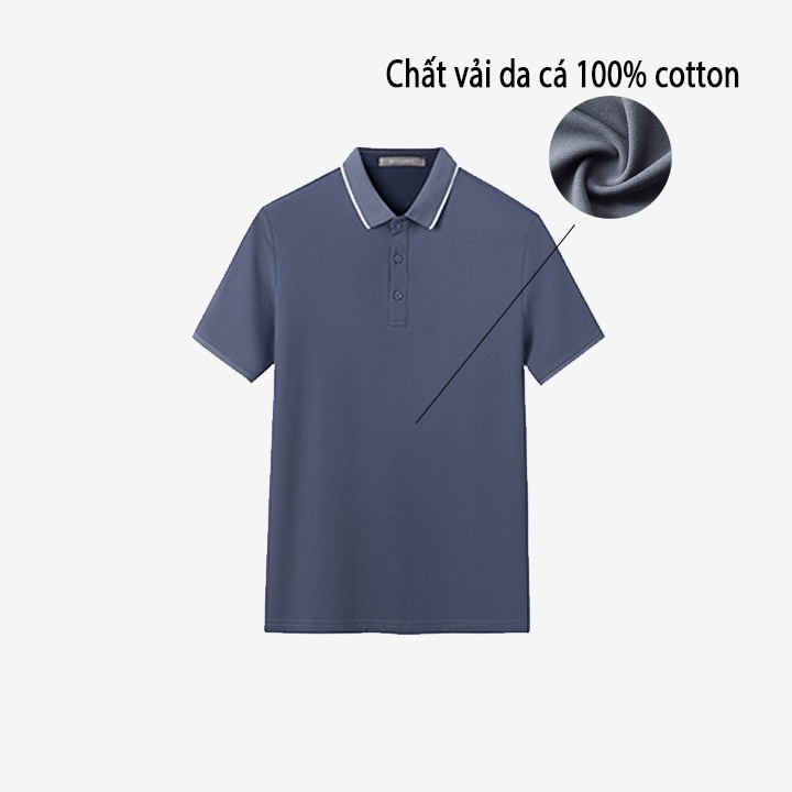 Áo thun nam Polo cao cấp cổ bẻ TRADY chất Cotton thoáng, Basic Pique - MÀU XÁM | BigBuy360 - bigbuy360.vn