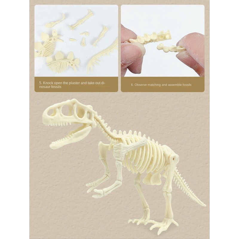 Bộ Đồ Chơi Khoa Học Khủng Long T-Rex Dành Cho Bé 5 6 7 8 Tuổi