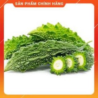 HẠT GIỐNG KHỔ QUA RỪNG