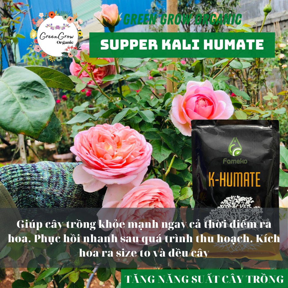 Phân bón hữu cơ Super KaIi Humate loại phân bón hữu cơ humic cho rau sạch hoa hồng cây ăn quả MS132 GREEN GROW