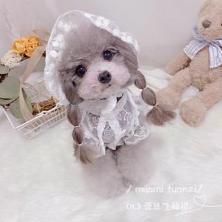 Áo ren xịn qc cho thú cưng