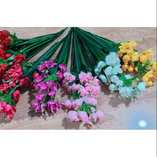 Hoa đỗ quyên 5 nhánh 30k