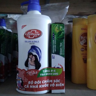 Dầu gội Lifebuoy 640g tặng kem đánh răng P/S 80g